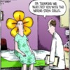 funny-stem-cell-woman